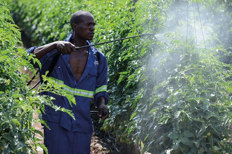 Conseiller agricole avec un agriculteur