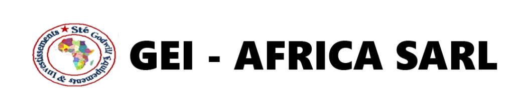 Logo GEI-AFRICA